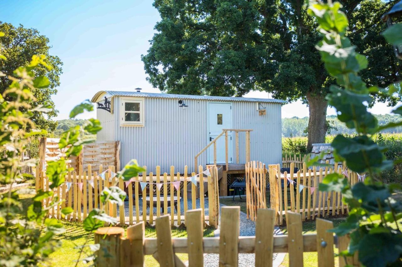 The Hideaway Hut - 1 Bed Shepherds Hut - هيريفورد المظهر الخارجي الصورة
